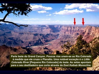 Parte leste do Grand Canyon. Poucos rios unem-se ao Rio Colorado
à medida que ele cruza o Planalto. Uma notável exceção é o Little
Colorado River [Pequeno Rio Colocado] do leste. As setas apontam
para o seu desfiladeiro que corta através da East Kaibab Monocline.
 