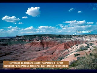 Formação Bidahochi (cinza) na Petrified Forest
National Park (Parque Nacional da Floresta Petrificada)
 