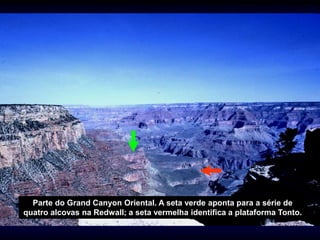 Parte do Grand Canyon Oriental. A seta verde aponta para a série de
quatro alcovas na Redwall; a seta vermelha identifica a plataforma Tonto.
 