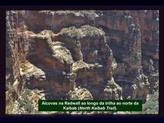 Alcovas na Redwall ao longo da trilha ao norte da
Kaibab (North Kaibab Trail).
 