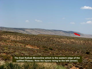 The East Kaibab Monocline which is the eastern edge of the
uplifted Plateau. Note the layers rising to the left (arrow).
 