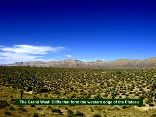 The Grand Wash Cliffs that form the western edge of the Plateau
 