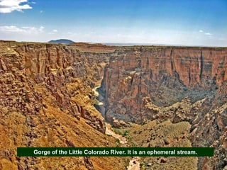 Gorge of the Little Colorado River. It is an ephemeral stream.
 