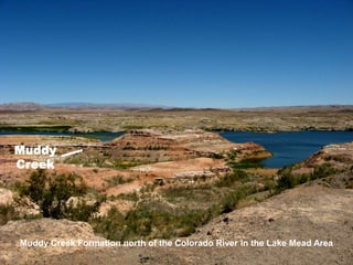Muddy
Creek
Muddy Creek Formation north of the Colorado River in the Lake Mead Area
 