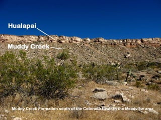 Muddy Creek Formation south of the Colorado River in the Meadview area
 