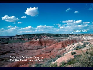 Bidahochi Formation (gray) in
Petrified Forest National Park
 