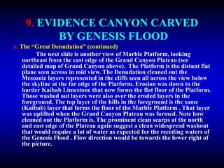 9. EVIDENCE CANYON CARVED
BY GENESIS FLOOD
a. The “Great Denudation” (continued)
The next slide is another view of Marble Platform, looking
northeast from the east edge of the Grand Canyon Plateau (see
detailed map of Grand Canyon above). The Platform is the distant flat
plane seen across in mid view. The Denudation cleaned out the
Mesozoic layers represented in the cliffs seen all across the view below
the skyline at the far edge of the Platform. Erosion was down to the
harder Kaibab Limestone that now forms the flat floor of the Platform.
Those washed out layers were also over the eroded layers in the
foreground. The top layer of the hills in the foreground is the same
(Kaibab) layer that forms the floor of the Marble Platform . That layer
was uplifted when the Grand Canyon Plateau was formed. Note how
cleaned out the Platform is. The prominent clean scarps at the north
and east edge of the Plateau again suggest a clean widespread washout
that would require a lot of water as expected for the receding waters of
the Genesis Flood . Flow direction would be towards the lower right of
the picture.
 