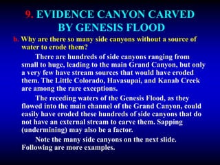 9. EVIDENCE CANYON CARVED
BY GENESIS FLOOD
b. Why are there so many side canyons without a source of
water to erode them?
There are hundreds of side canyons ranging from
small to huge, leading to the main Grand Canyon, but only
a very few have stream sources that would have eroded
them. The Little Colorado, Havasupai, and Kanab Creek
are among the rare exceptions.
The receding waters of the Genesis Flood, as they
flowed into the main channel of the Grand Canyon, could
easily have eroded these hundreds of side canyons that do
not have an external stream to carve them. Sapping
(undermining) may also be a factor.
Note the many side canyons on the next slide.
Following are more examples.
 