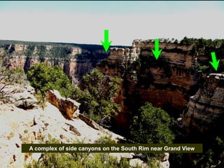 A complex of side canyons on the South Rim near Grand View
 