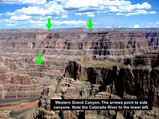 Western Grand Canyon. The arrows point to side
canyons. Note the Colorado River to the lower left.
 
