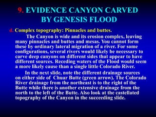 9. EVIDENCE CANYON CARVED
BY GENESIS FLOOD
d. Complex topography: Pinnacles and buttes.
The Canyon is wide and its erosion complex, leaving
many pinnacles and buttes and mesas. You cannot form
these by ordinary lateral migration of a river. For some
configurations, several rivers would likely be necessary to
carve deep canyons on different sides that appear to have
different sources. Receding waters of the Flood would seem
a more likely cause than a single little Colorado River.
In the next slide, note the different drainage sources
on either side of Chuar Butte (green arrow). The Colorado
River drainage from the northeast is to the right of the
Butte while there is another extensive drainage from the
north to the left of the Butte. Also look at the castellated
topography of the Canyon in the succeeding slide.
 