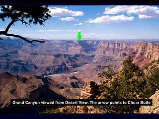 Grand Canyon viewed from Desert View. The arrow points to Chuar Butte
 