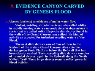 9. EVIDENCE CANYON CARVED
BY GENESIS FLOOD
e. Alcoves (pockets) as evidence of major water flow.
Violent, swirling, circular vortexes, also called eddies,
in rapidly moving waters can erode circular depressions in
rocks that are called kolks. Huge circular alcoves found in
the walls of the Grand Canyon may reflect this kind of
activity as expected for turbulent receding waters of the
Flood.
The next slide shows a row of four of these in the
Redwall of the eastern Grand Canyon. Also note the
darker green Tonto Platform below the Redwall that has
been cleanly washed. The succeeding slide shows a complex
of rounded alcoves, again in the Redwall along the North
Kaibab Trail. These large alcoves seem to reflect powerful
Flood activity.
 