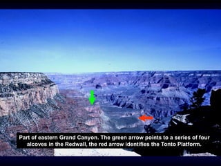 Part of eastern Grand Canyon. The green arrow points to a series of four
alcoves in the Redwall, the red arrow identifies the Tonto Platform.
 