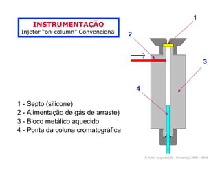 1
     INSTRUMENTAÇÃO
 Injetor “on-column” Convencional
                                     2



                                                                                    3



                                         4

1 - Septo (silicone)
2 - Alimentação de gás de arraste)
3 - Bloco metálico aquecido
4 - Ponta da coluna cromatográfica


                                             © Fabio Augusto (IQ - Unicamp), 2005 - 2010
 