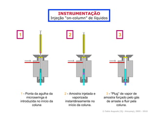 INSTRUMENTAÇÃO
                      Injeção “on-column” de líquidos



1                               2                                    3




1 - Ponta da agulha da       2 - Amostra injetada e     3 - “Plug” de vapor de
     microseringa é                vaporizada          amostra forçado pelo gás
introduzida no início da     instantâneamente no        de arraste a fluir pela
         coluna                 início da coluna.               coluna.
                                                      © Fabio Augusto (IQ - Unicamp), 2005 - 2010
 