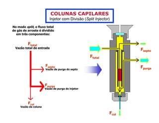 COLUNAS CAPILARES
                          Injetor com Divisão (Split Injector)
No modo split, o fluxo total
de gás de arraste é dividido
  em três componentes:


          Ftotal
  Vazão total de entrada
                                                                    Fsepto
                                                   Ftotal

                       Fsepto                                       Fpurga
                       Vazão de purga do septo




                       Fpurga
                       Vazão de purga do injetor




          Fcol
     Vazão da coluna

                                                             Fcol
 