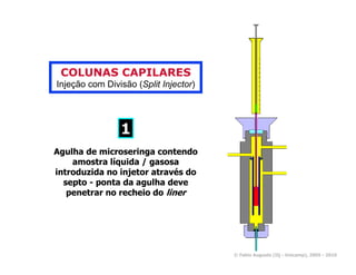 COLUNAS CAPILARES
Injeção com Divisão (Split Injector)




                1
Agulha de microseringa contendo
    amostra líquida / gasosa
introduzida no injetor através do
  septo - ponta da agulha deve
   penetrar no recheio do liner




                                       © Fabio Augusto (IQ - Unicamp), 2005 - 2010
 
