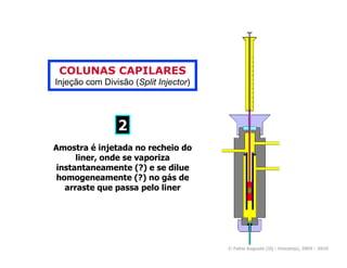 COLUNAS CAPILARES
Injeção com Divisão (Split Injector)




                2
Amostra é injetada no recheio do
      liner, onde se vaporiza
 instantaneamente (?) e se dilue
 homogeneamente (?) no gás de
   arraste que passa pelo liner




                                       © Fabio Augusto (IQ - Unicamp), 2005 - 2010
 