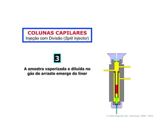 COLUNAS CAPILARES
Injeção com Divisão (Split Injector)




                3
A amostra vaporizada e diluída no
  gás de arraste emerge do liner




                                       © Fabio Augusto (IQ - Unicamp), 2005 - 2010
 