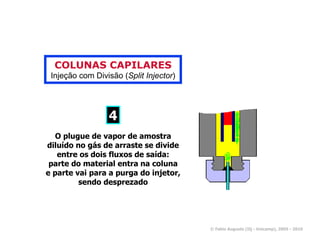 COLUNAS CAPILARES
 Injeção com Divisão (Split Injector)




                 4
   O plugue de vapor de amostra
diluído no gás de arraste se divide
   entre os dois fluxos de saída:
 parte do material entra na coluna
e parte vai para a purga do injetor,
         sendo desprezado




                                        © Fabio Augusto (IQ - Unicamp), 2005 - 2010
 