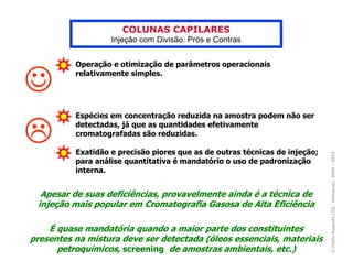 COLUNAS CAPILARES
                   Injeção com Divisão: Prós e Contras


          Operação e otimização de parâmetros operacionais


☺         relativamente simples.




          Espécies em concentração reduzida na amostra podem não ser
          detectadas, já que as quantidades efetivamente
          cromatografadas são reduzidas.

          Exatidão e precisão piores que as de outras técnicas de injeção;




                                                                             © Fabio Augusto (IQ - Unicamp), 2005 - 2010
          para análise quantitativa é mandatório o uso de padronização
          interna.


  Apesar de suas deficiências, provavelmente ainda é a técnica de
 injeção mais popular em Cromatografia Gasosa de Alta Eficiência

    É quase mandatória quando a maior parte dos constituintes
presentes na mistura deve ser detectada (óleos essenciais, materiais
      petroquímicos, screening de amostras ambientais, etc.)
 