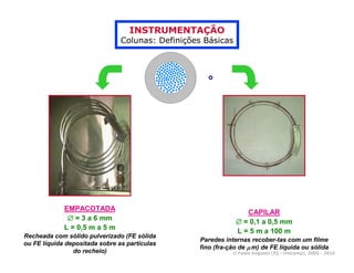 INSTRUMENTAÇÃO
                                Colunas: Definições Básicas




             EMPACOTADA
                                                                 CAPILAR
              ∅ = 3 a 6 mm
                                                              ∅ = 0,1 a 0,5 mm
             L = 0,5 m a 5 m
                                                              L = 5 m a 100 m
Recheada com sólido pulverizado (FE sólida
                                                  Paredes internas recober-tas com um filme
ou FE líquida depositada sobre as partículas
                                                  fino (fra-ção de µ m) de FE líquida ou sólida
                do recheio)                                  © Fabio Augusto (IQ - Unicamp), 2005 - 2010
 