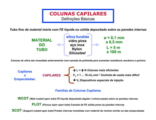 COLUNAS CAPILARES
                                          Definições Básicas

Tubo fino de material inerte com FE líquida ou sólida depositada sobre as paredes internas

                                              sílica fundida                  ø = 0,1 mm
                 MATERIAL                      vidro pirex                     a 0,5 mm
                   DO                            aço inox
                                                  Nylon                        L=5m
                  TUBO
                                                Silcosteel                     a 100 m

Colunas de sílica são revestidas externamente com camada de poliimida para aumentar resistência mecânica e química



                                                       L=     N Colunas mais eficientes
    Capilares
       x                  CAPILARES                 FC = 1 ... 10 mL.min-1 Controle de vazão mais difícil
  Empacotadas:                                         Vi Dispositivos especiais de injeção


                                     Famílias de Colunas Capilares

     WCOT (Wall coated open tube) FE liquida depositada (ligada // entrecruzada) sobre as paredes internas.
                 PLOT (Porous layer open tube) Camada de FE sólida presa às paredes internas
 SCOT (Support coated open tube) Predes internas revestidas com material de recheio similar ao das empacotadas
 