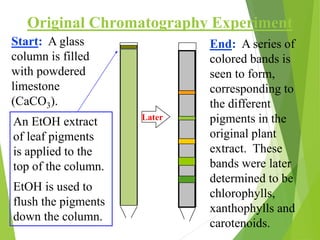 Original Chromatography Experiment
Later
Start: A glass
column is filled
with powdered
limestone
(CaCO3).
End: A series of
colored bands is
seen to form,
corresponding to
the different
pigments in the
original plant
extract. These
bands were later
determined to be
chlorophylls,
xanthophylls and
carotenoids.
An EtOH extract
of leaf pigments
is applied to the
top of the column.
EtOH is used to
flush the pigments
down the column.
 