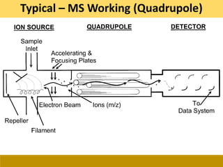Typical – MS Working (Quadrupole)
 