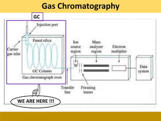 GC
Gas Chromatography
WE ARE HERE !!!
 