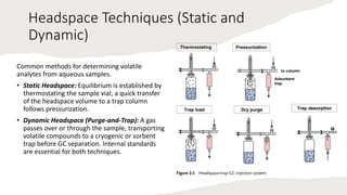 Gas Chromatograph-Mass Spectrometer.pptx