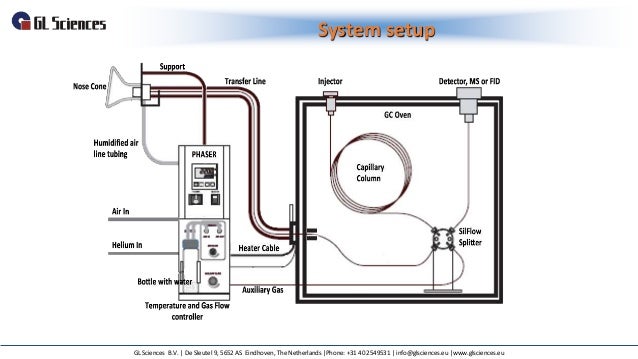 Olfactometry Diagram | Identification of characteristic aroma compounds ...