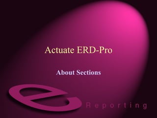 Actuate ERD-Pro
About Sections
 