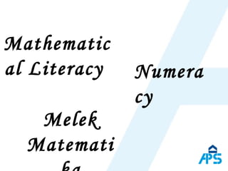 Mathematical Literacy  Numeracy Melek Matematika 