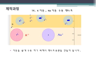 14. K14. K 이온이온 , Na, Na 이온 구분 텍스트이온 구분 텍스트
• 이온을 쉽게 구분 하기 위해서 텍스트 & 원을 만들어 줍니다 .
 