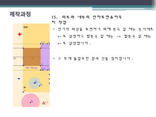 15.15. 외부와 내부의 전하표현외부와 내부의 전하표현 && 마무마무
리 작업리 작업
• 전기적 위상을 표현하기 위해 분극 일 때는 순서대로
+- 로 설정하고 탈분극 일 때는 -+ 탈분극 일 때는
+- 로 설정합니다 .
• 그 후에 불필요한 점과 선을 정리합니다 .
 