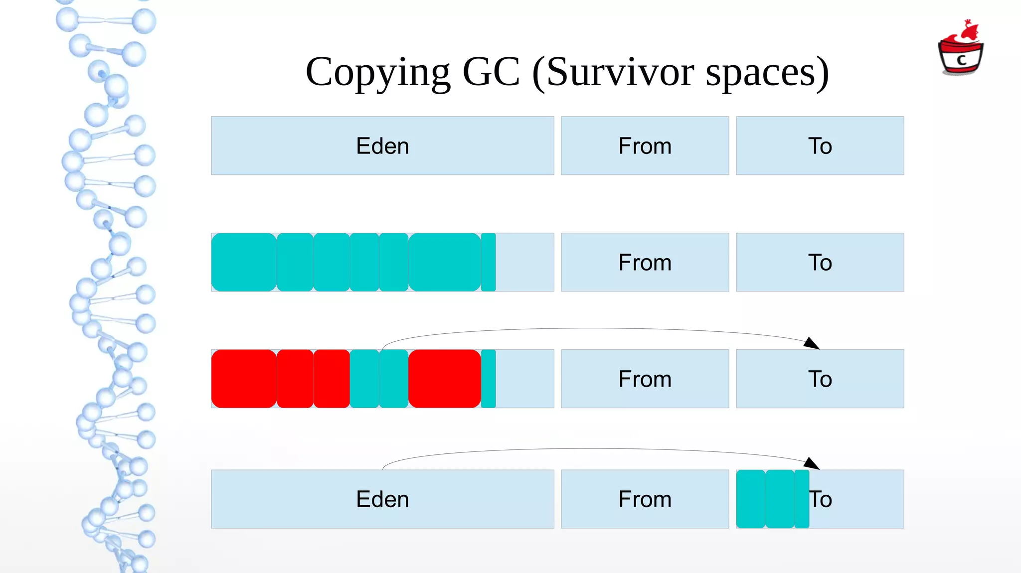 Copying GC (Survivor spaces)
Eden From To
Eden From To
Eden From To
Eden From To
 