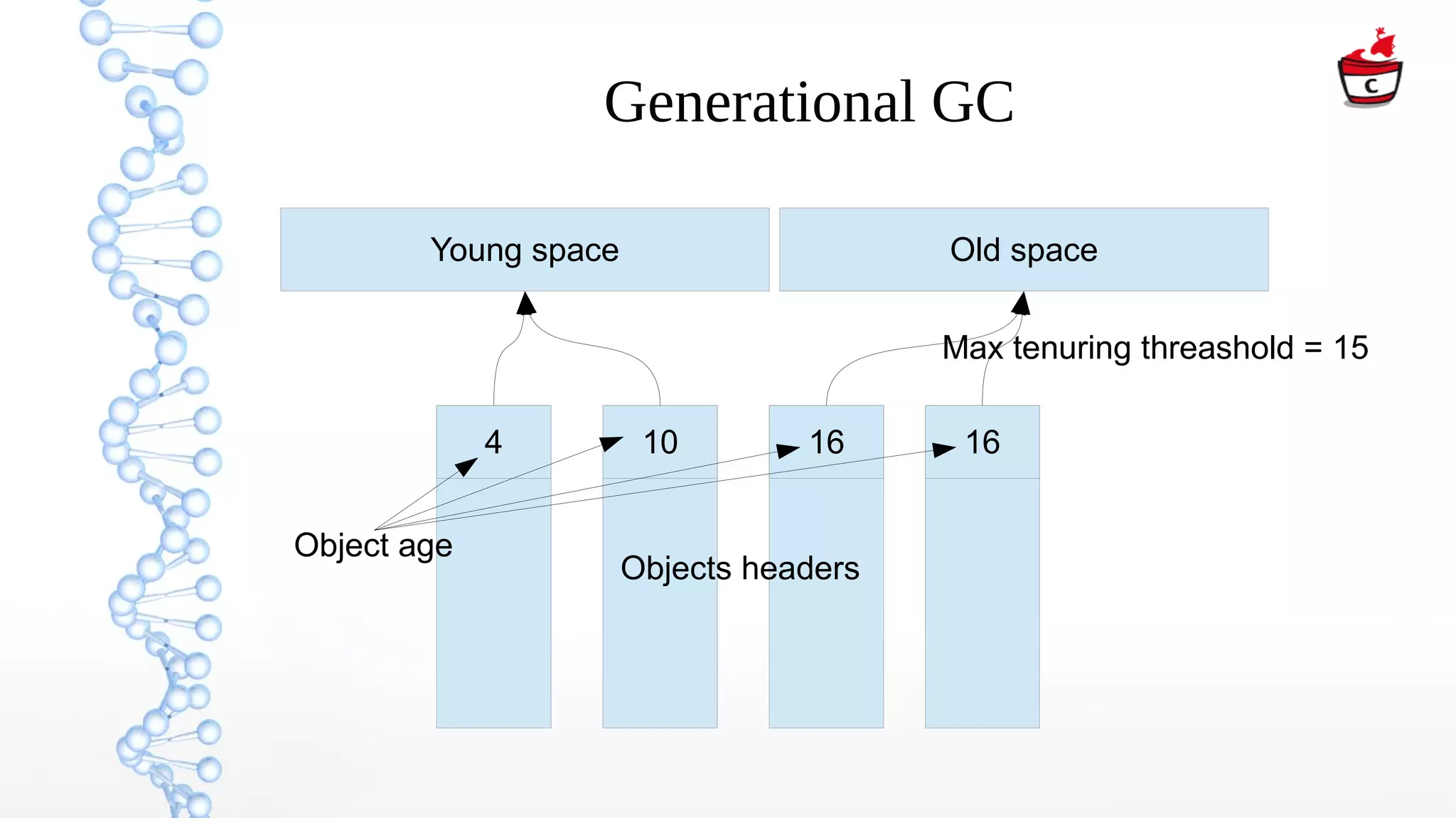 Generational GC
Young space Old space
4 10 16 16
Objects headers
Object age
Max tenuring threashold = 15
 