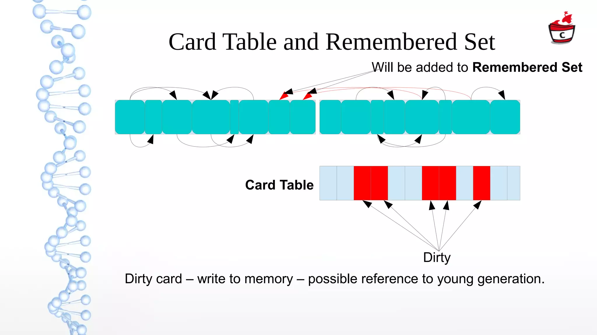 Card Table and Remembered Set
Young space Old space
Card Table
Dirty
Dirty card – write to memory – possible reference to young generation.
Will be added to Remembered Set
 