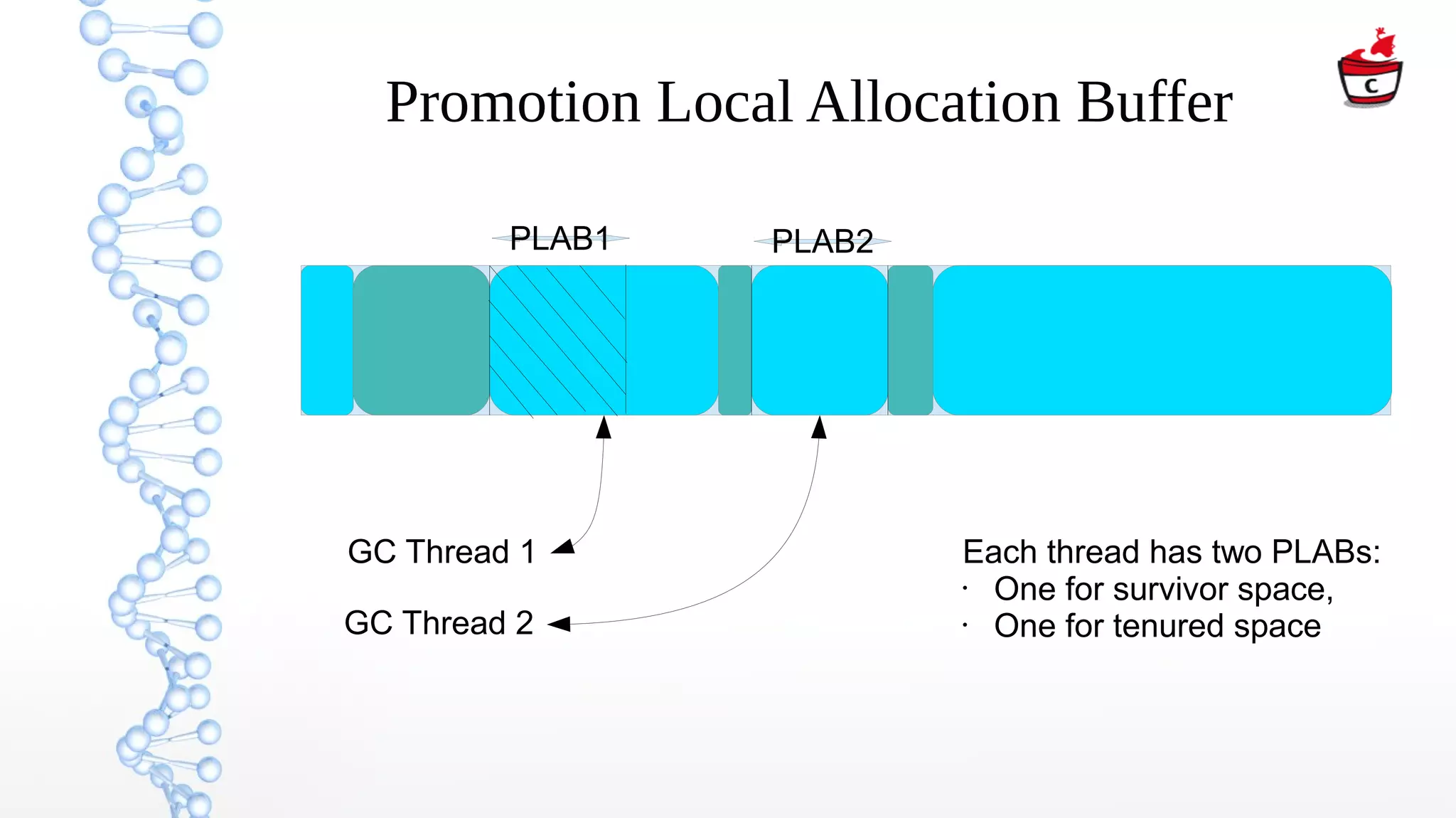 Promotion Local Allocation Buffer
Each thread has two PLABs:
• One for survivor space,
• One for tenured space
PLAB1 PLAB2
GC Thread 1
GC Thread 2
 