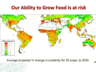 Gcard 2012 funders forum_ccafs_rgecheverria