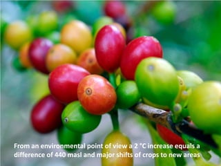 Gcard 2012 funders forum_ccafs_rgecheverria