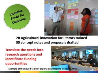20 Agricultural innovation facilitators trained
55 concept notes and proposals drafted
Translate the needs into
research questions and
identificate funding
opportunities
Example of the Round Table of experts on aflatoxine issues in Africa
 