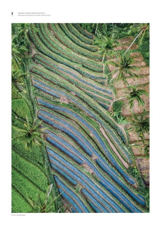 x Yearbook of Global Climate Action 2019
Marrakech Partnership for Global Climate Action
Photo: Ivan Bandura.
 