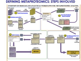 DEFINING METAPROTEOMICS: STEPS INVOLVED
 