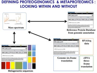 DEFINING PROTEOGENOMICS & METAPROTEOMICS :
LOOKING WITHIN AND WITHOUT
Mass spectrum
Reference Protein Database
from genomic annotation
cDNA
three-
frame
translation	
  
Genome six-frame
translation	
  
RNASeq
data	
  
Metagenomic	
  sequences	
  
 