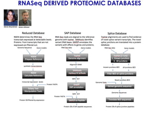 RNASeq DERIVED PROTEOMIC DATABASES
Gloria	
  Sheynkman	
   James	
  Johnson	
  
 