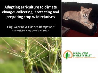 Adapting agriculture to climate
change: collecting, protecting and
  preparing crop wild relatives

  Luigi Guarino & Hannes Dempewolf
      - The Global Crop Diversity Trust -
 