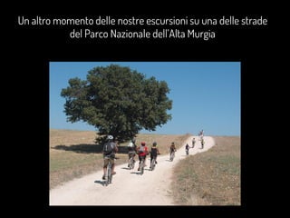 Un altro momento delle nostre escursioni su una delle strade
                                        Murgia
                              ?
 